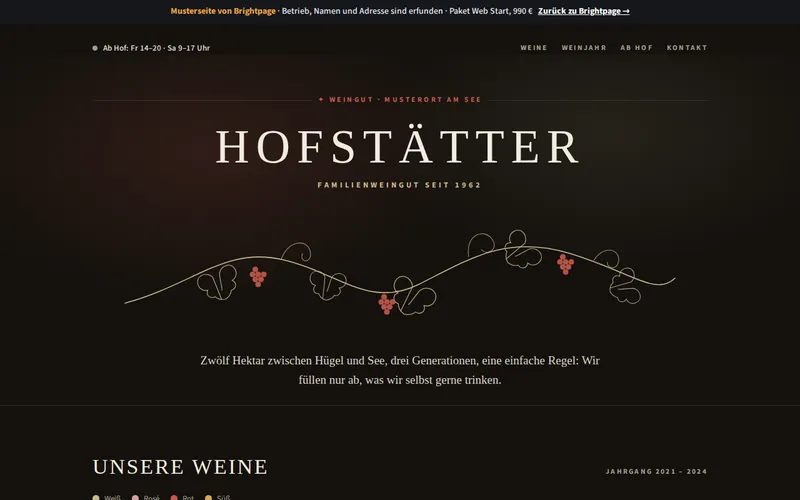 Startseite der Musterseite Weingut Hofstätter